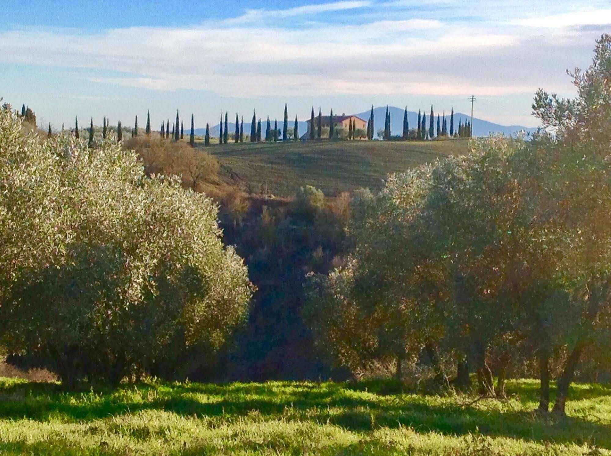 Podere Fornaci Asciano Exteriér fotografie
